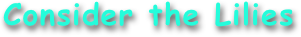 Consider the Lilies
